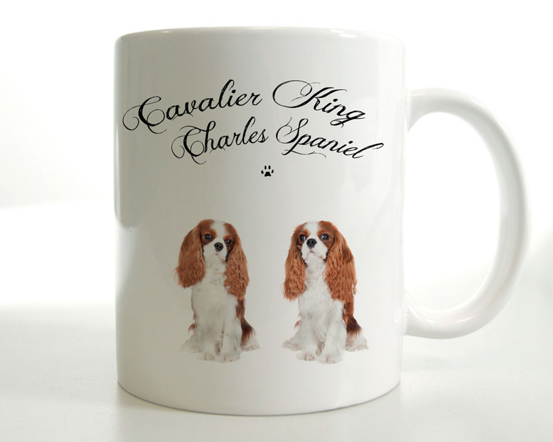 Cavalier King Charles Spaniel
